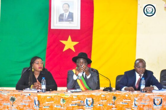 A Sensitisation workshop on the new Local Finance law took place on Thursday July 31, 2025 at the Tiko Council.