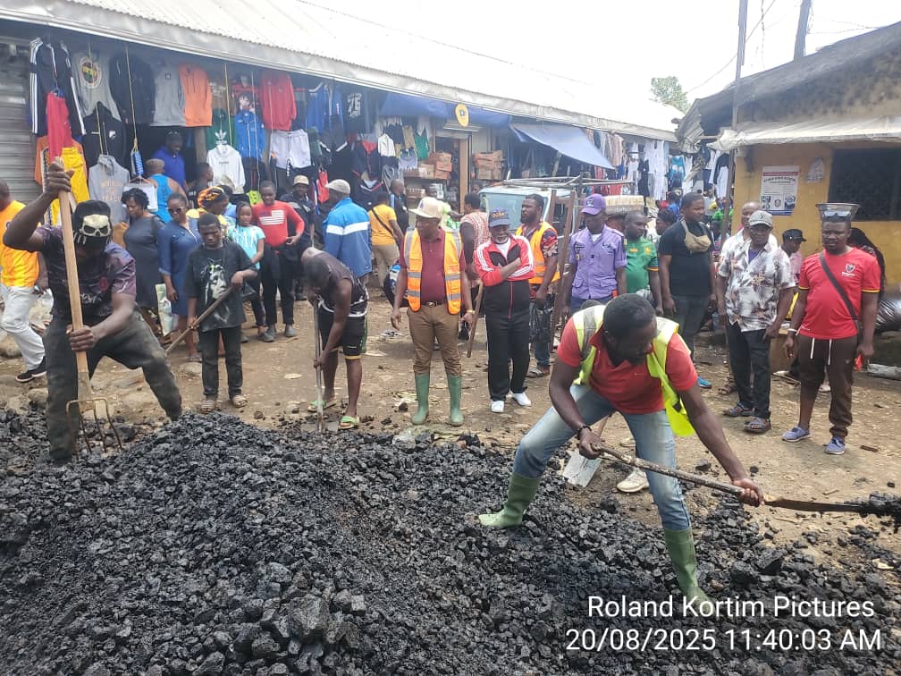 Mayor Mesoso supervising works