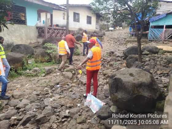 Tiko Council marching Words with Action