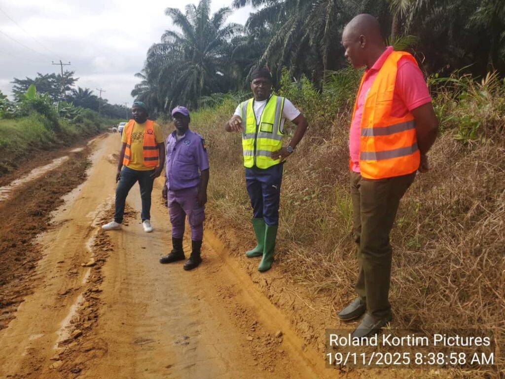 Inspection of project