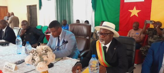 Tiko Councilors vote 100 percent Infavour of the Administrative Management and Stores Management Account of the Mayor in 2025