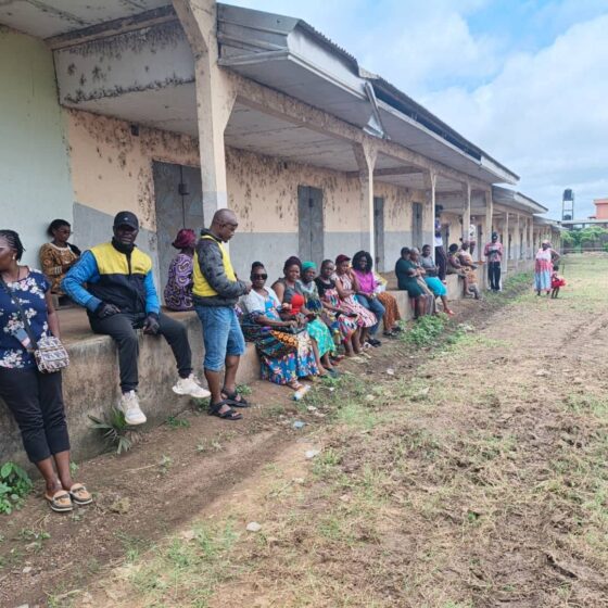 Tiko Council Mayor Allocates Sheds at New Tiko Council Farm Market